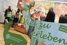 Schule, Hochschule