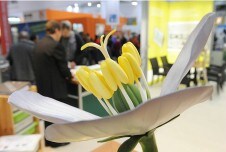 Weiterbildung/Beratung