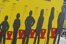Ausbildung / Qualifikation  