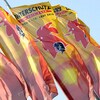 INTERSCHUTZ 2010 (7 to 12 June)
