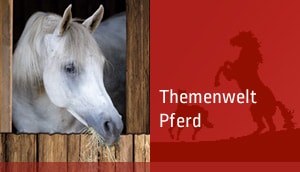 Themenwelt Pferd