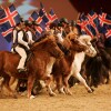 Show-Arena