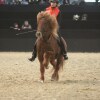 Show-Arena