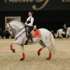 Show-Arena