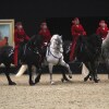 Show-Arena