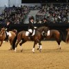 Show-Arena