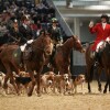 Show-Arena