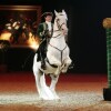 Show-Arena