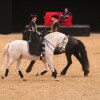 Show-Arena