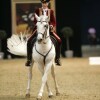Show-Arena
