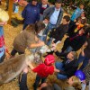 infa08_7137.jpg
