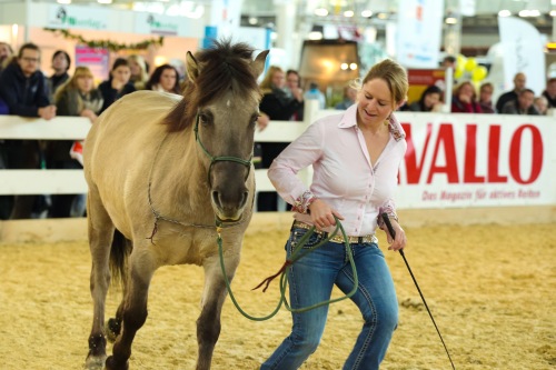 Pferd Und Jagd Programm